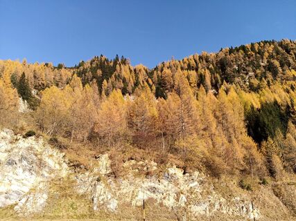 Foto von Erwin Krumböck entlang der Tour