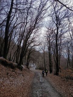 Foto de Aner a lo largo del recorrido