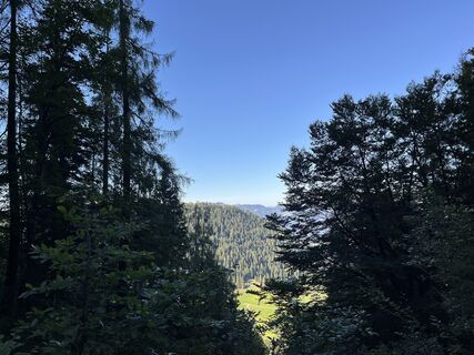 Foto da Csuti46 lungo il tour