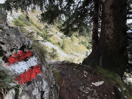 Fotografie z Natur_erleben_dg na trase