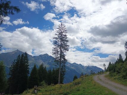 Foto von Andreas Beuster Huke entlang der Tour
