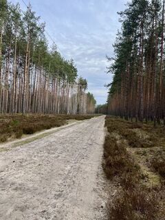 Fotografia z Václav Stejskal na trase