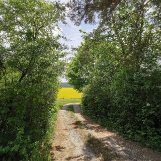 Wanderweg Richtung Tiefengruben