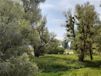 Fotografija s spletne strani rrrotezora8 na poti