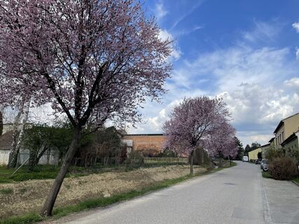Fotografija s spletne strani Martino68 na poti