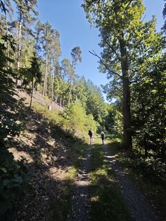 Photo de Michal Šedo le long du parcours