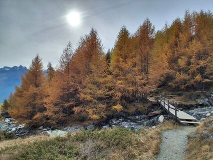 Fotografia z Stefan38 na trase