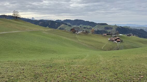 Foto von peter_oe entlang der Tour