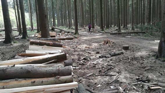 Von Dreba zum Plothener Hausteich