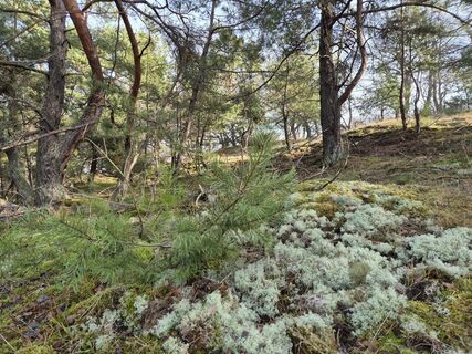 Foto von KELO entlang der Tour