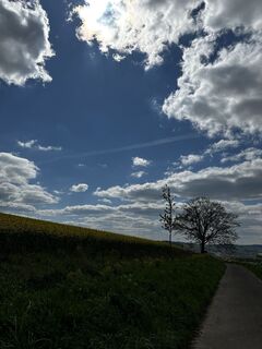 Foto von Frank Thies entlang der Tour