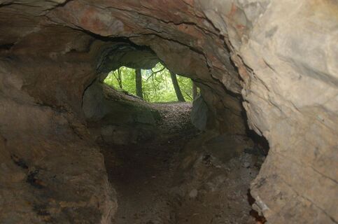 Naturkundliche Wanderung Paulinenhöhle - Sulzbachtal