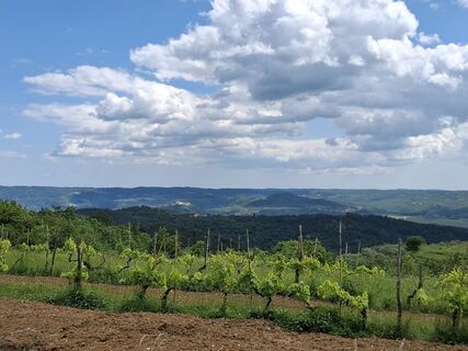 Fotografia z nordbergschnecke na trase