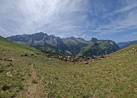 Foto von Karl-Heinz Martin entlang der Tour