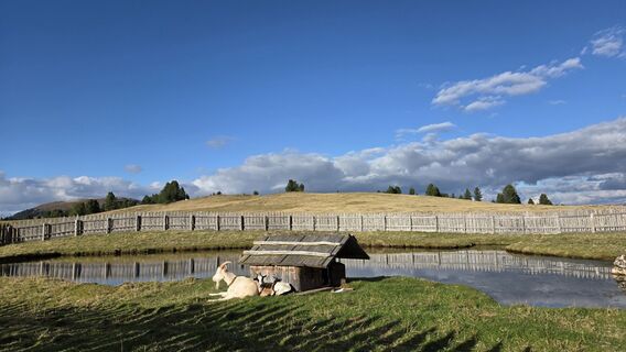 Foto da V Feurstein lungo il tour