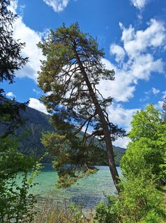 Foto von Dagmar Hofer entlang der Tour