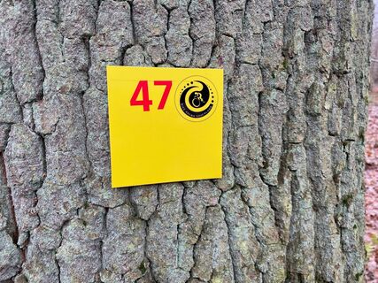 Tour 47