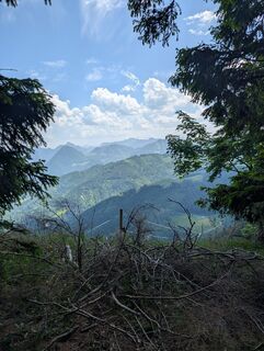 Foto von Julian Bergmann 1 entlang der Tour