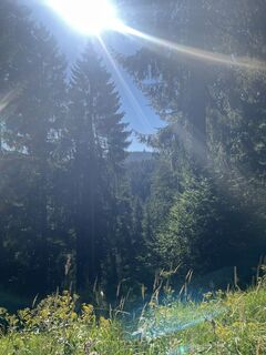 Fotografija s spletne strani Holzmanfred na poti