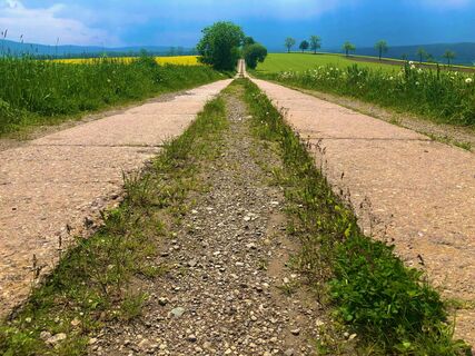 Firstenweg Richtung Cranzahl