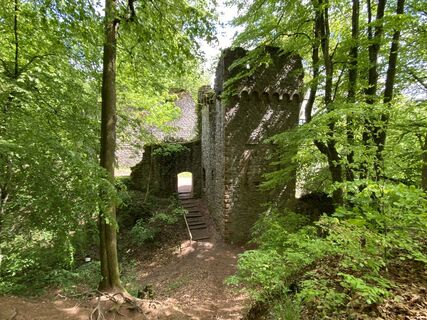 Foto da Arthur Muskalla lungo il tour