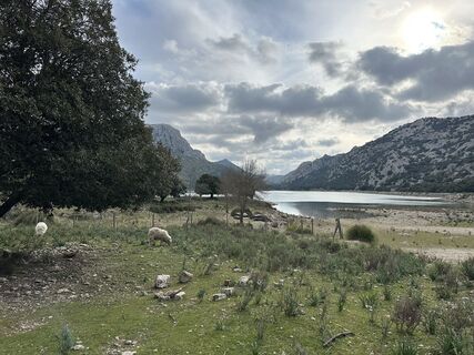 Foto von Cori Riegler entlang der Tour