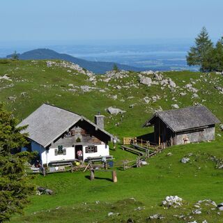 inzell sommer panorama alm 02