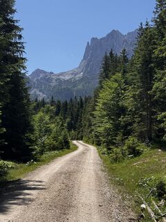 Fotografia z Friederike Steyrer na trase