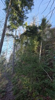 Fotografia z W B MA na trase