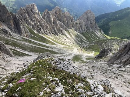 Foto de michelegrassi a lo largo del recorrido