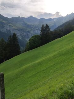 Foto de Peter Seliner a lo largo del recorrido