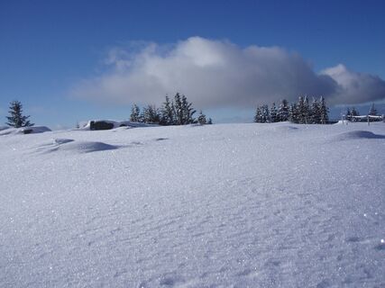 "Wintermärchen"