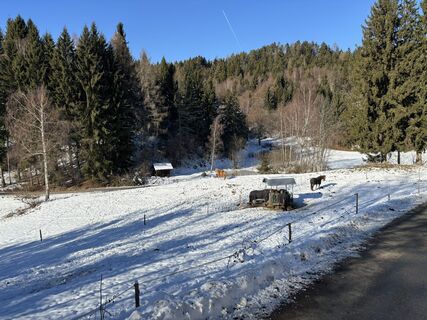 Foto von hxgh hxbbit entlang der Tour