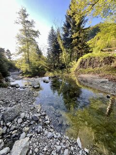 Fotografija s spletne strani Aurelian Böhler na poti