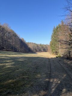 Foto von Brutrol entlang der Tour