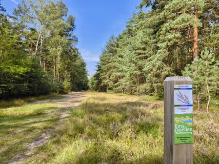 Wandern in der Moosheide