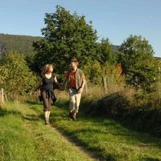 DSC_0490.JPG