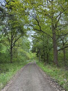 Foto de Zuzana Růžičková a lo largo del recorrido