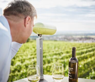 WEINWEG Langenlois
