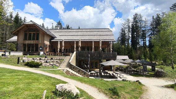 Fotografia z WilliSt na trase