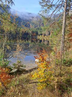 Fotografia z Johanna Bachlechner na trase
