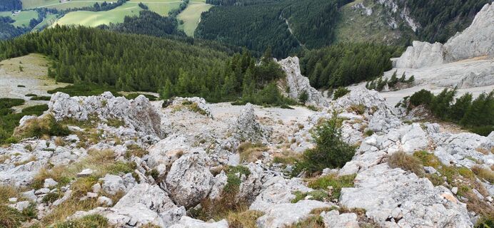 Fotografia z Gessi na trase
