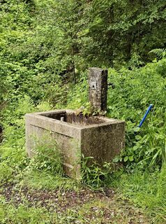 Fotografie z Angelika Gerung na trase