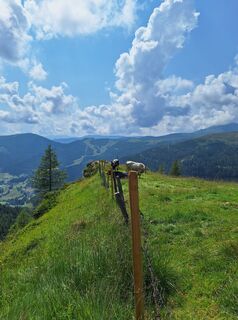 Fotografija s spletne strani Dagmar Hofer na poti