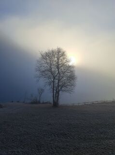Fotografija s spletne strani Natalie Prosch na poti