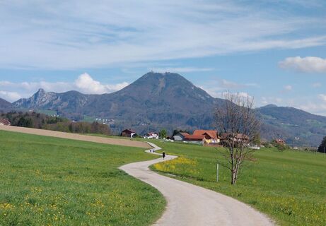 Nockstein und Gaisberg