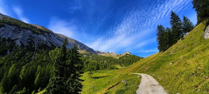 Fotografia z Robin Meyer na trase