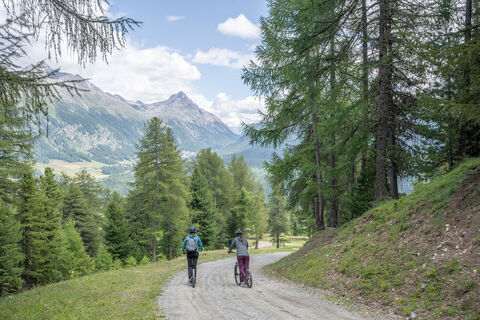 Downhill Trottinett Marguns