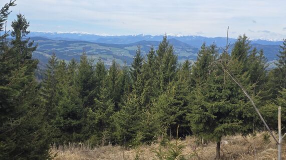 Foto de Christa Eibel a lo largo del recorrido