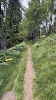 Foto de Samuele Pretini a lo largo del recorrido